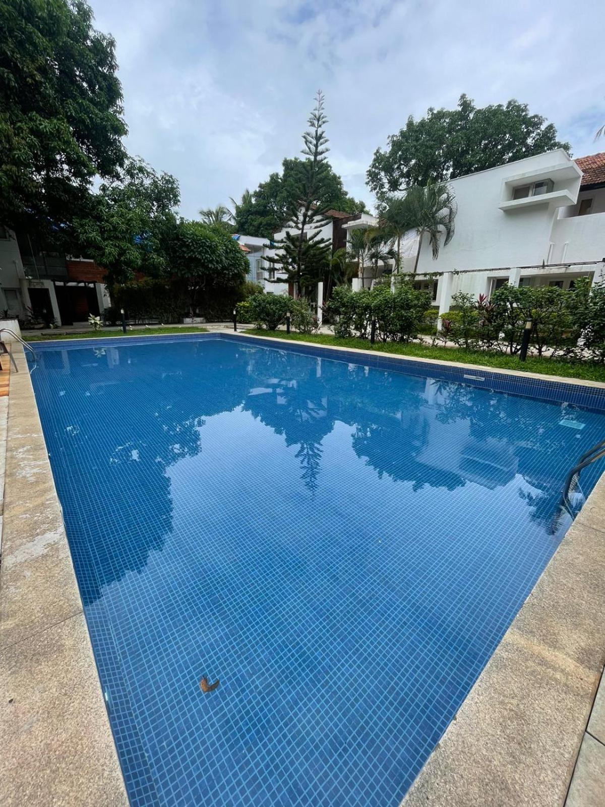 Villa M - Solitude 2 Candolim Goa 3Bhk, Pool Facing, Near Beach, Free Breakfast, Free Wifi And Prime Location Exterior photo